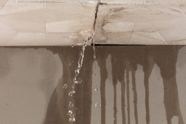 Professional Water Extraction technician working in De Soto, IL